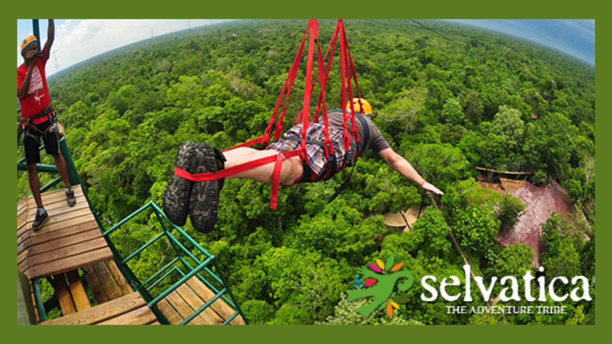 selvatica