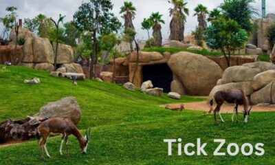 Tick Zoos