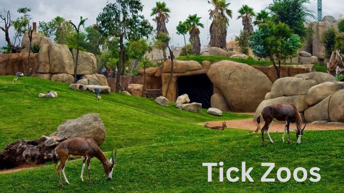 Tick Zoos