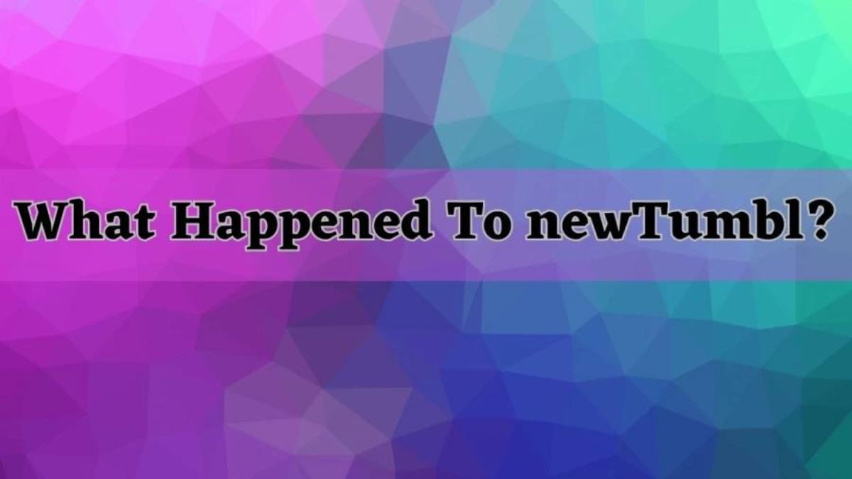 What Happened to NewTumbl: