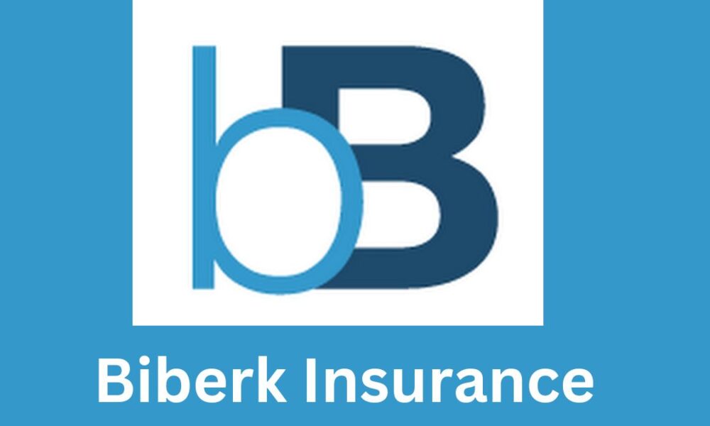 biberk insurance