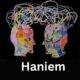 haniem