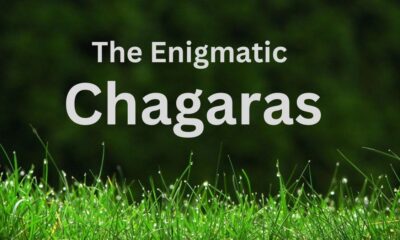 Chagaras