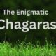 Chagaras