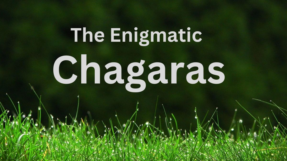 Chagaras