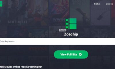 Zoechip