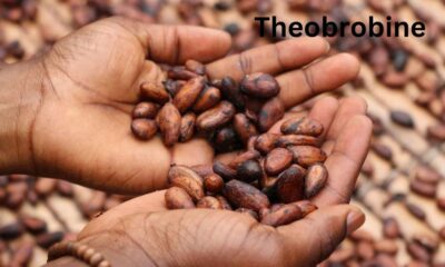 Theobrobine