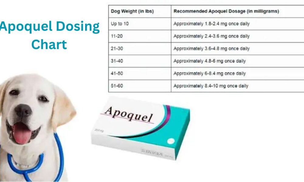 Apoquel Dosing Chart
