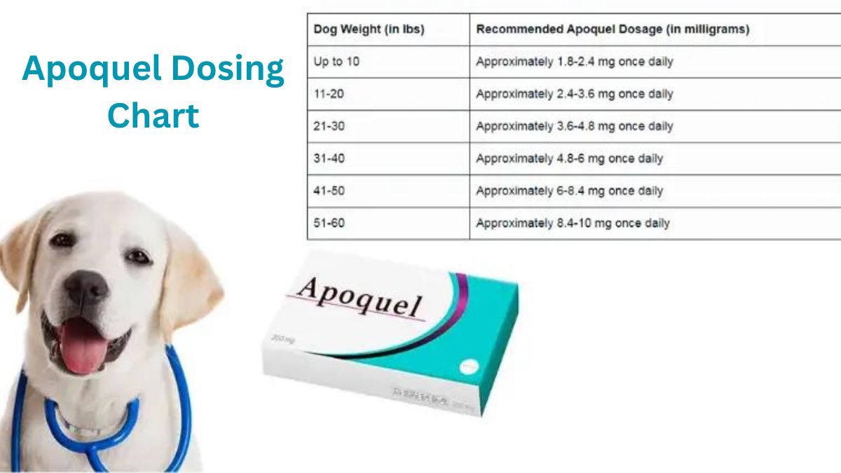 Apoquel Dosing Chart