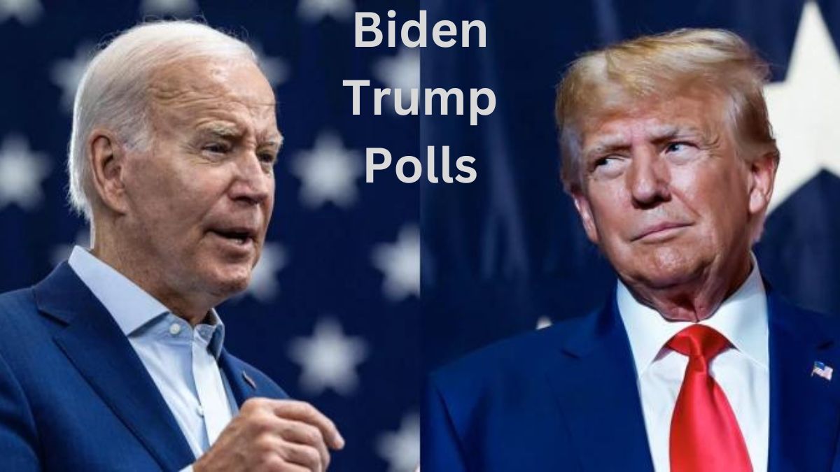 Biden Trump Polls