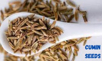 Cumin Seeds