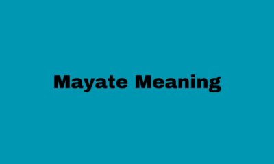 mayate meaning