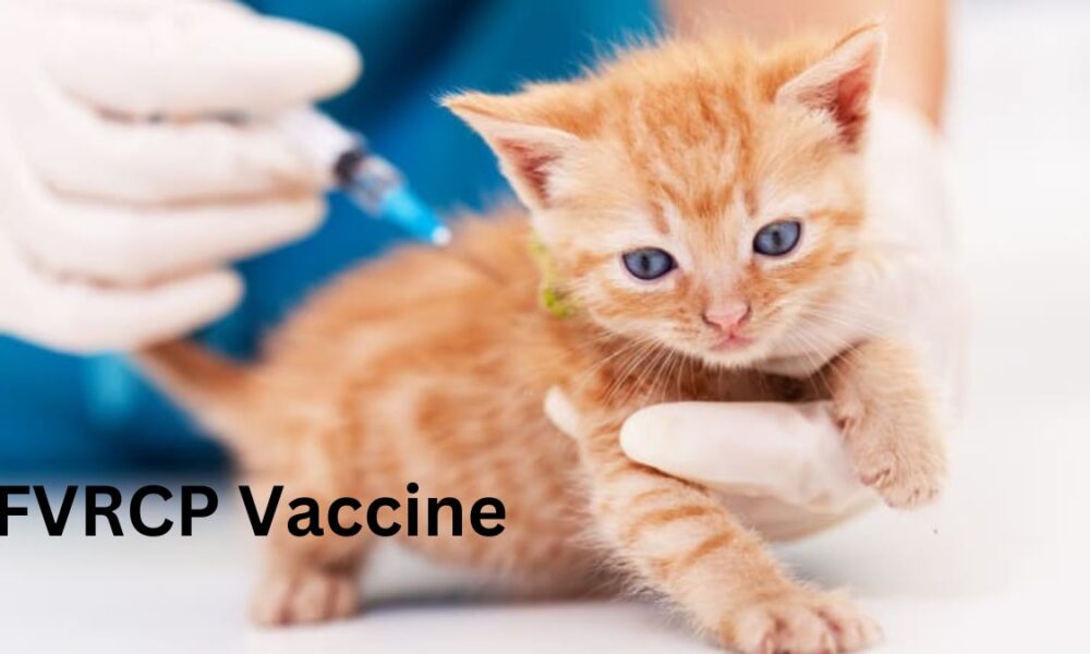 FVRCP Vaccine