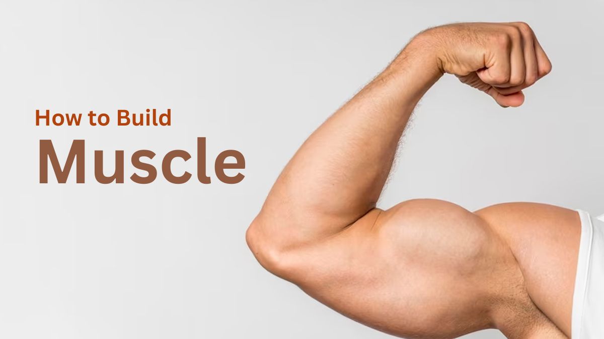 How to Build Muscle