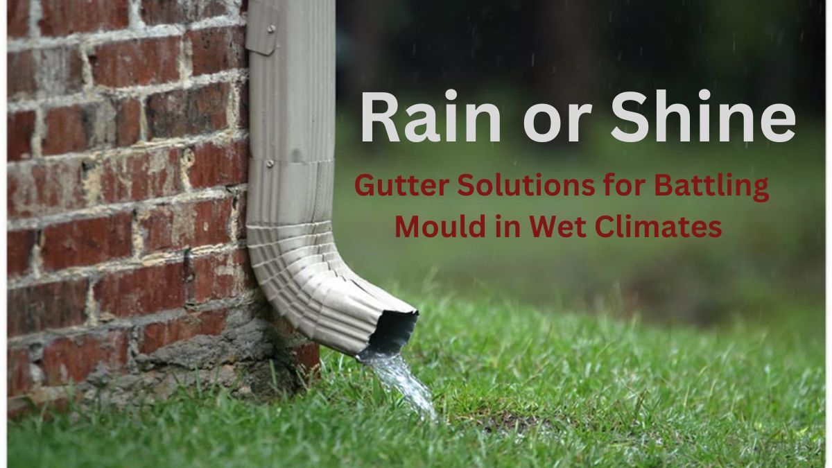 Gutter Solutions