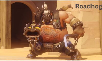 Roadhog