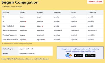 seguir conjugation