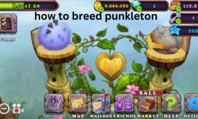 how to breed punkleton