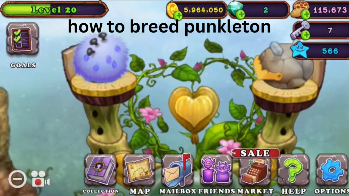 how to breed punkleton