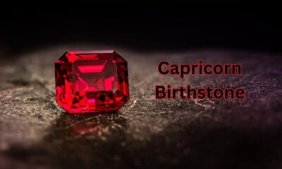 Capricorn Birthstone