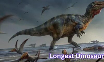 Longest Dinosaur Name