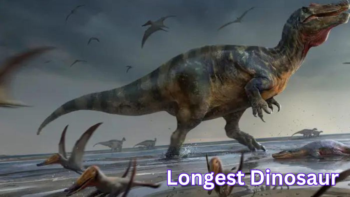 Longest Dinosaur Name