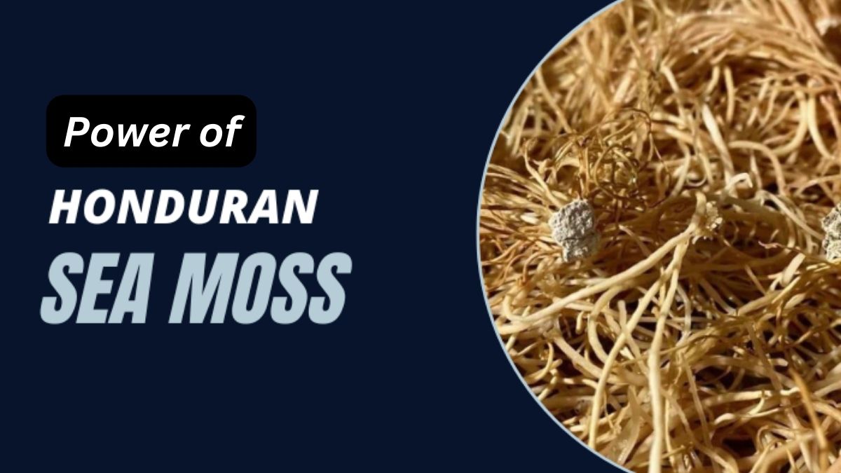 Honduran Sea Moss