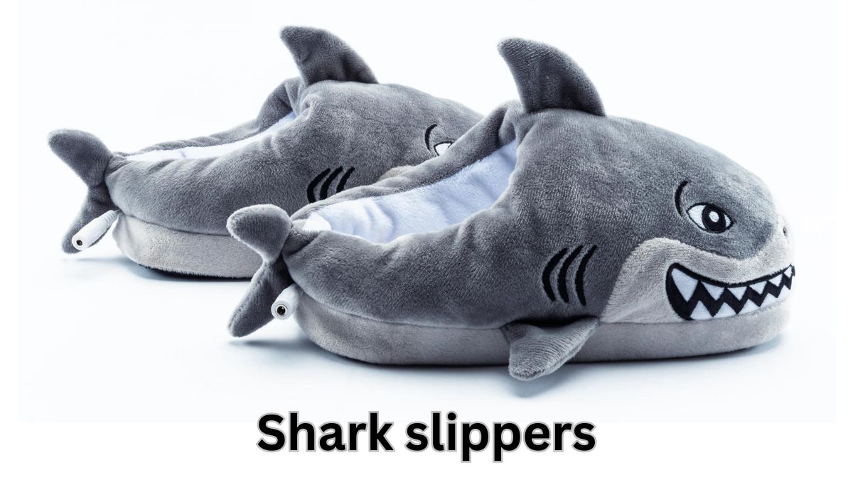 shark slippers