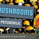 mushroom psychedelic chocolates