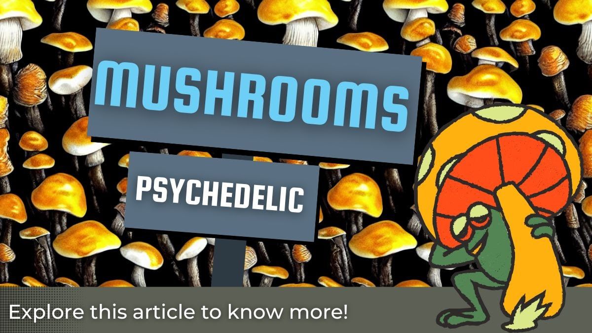 mushroom psychedelic chocolates