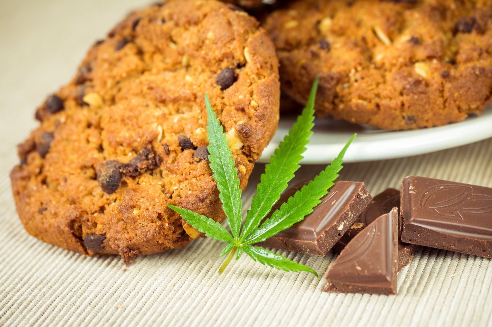 sativa edibles