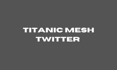 titanic mesh twitter 
