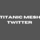 titanic mesh twitter 