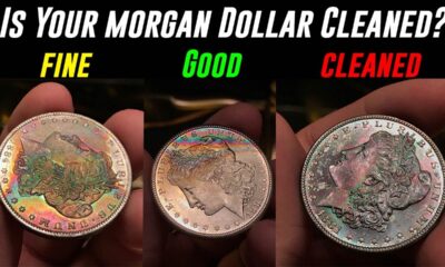 Cleaned Morgan Dollars
