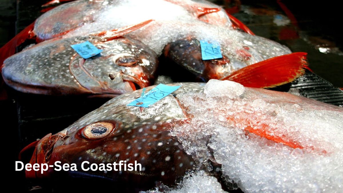 Coastfish