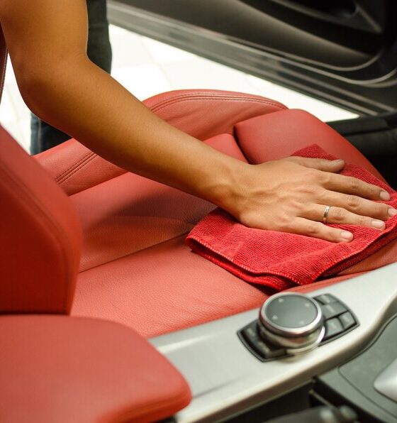 Leather Wipes for Car