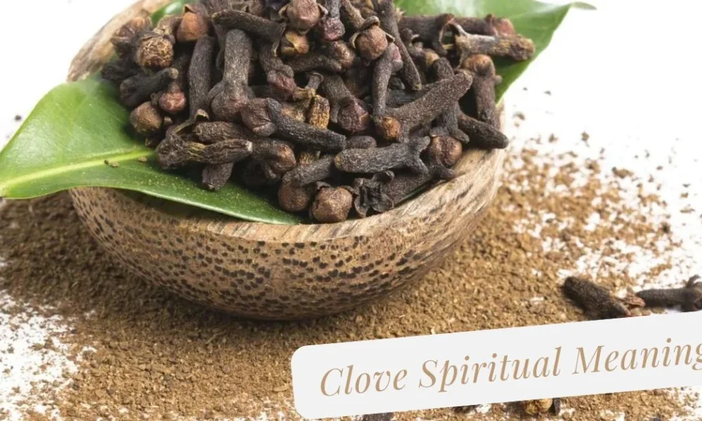 Clove Spiritual Meaning