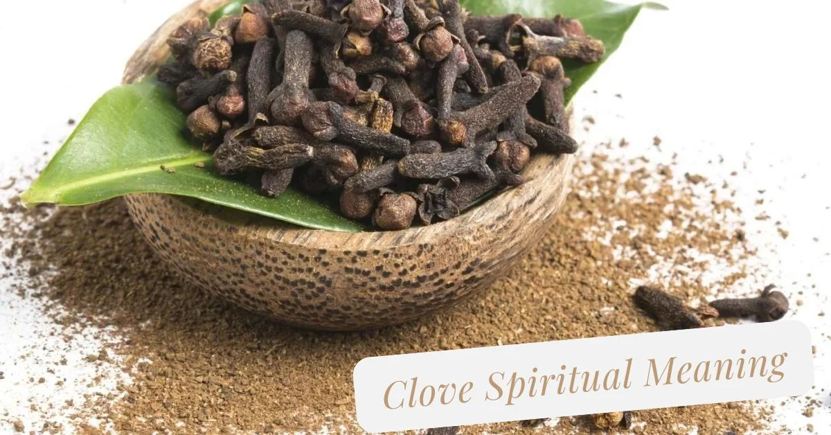 Clove Spiritual Meaning