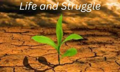 Life and Struggle