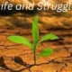 Life and Struggle