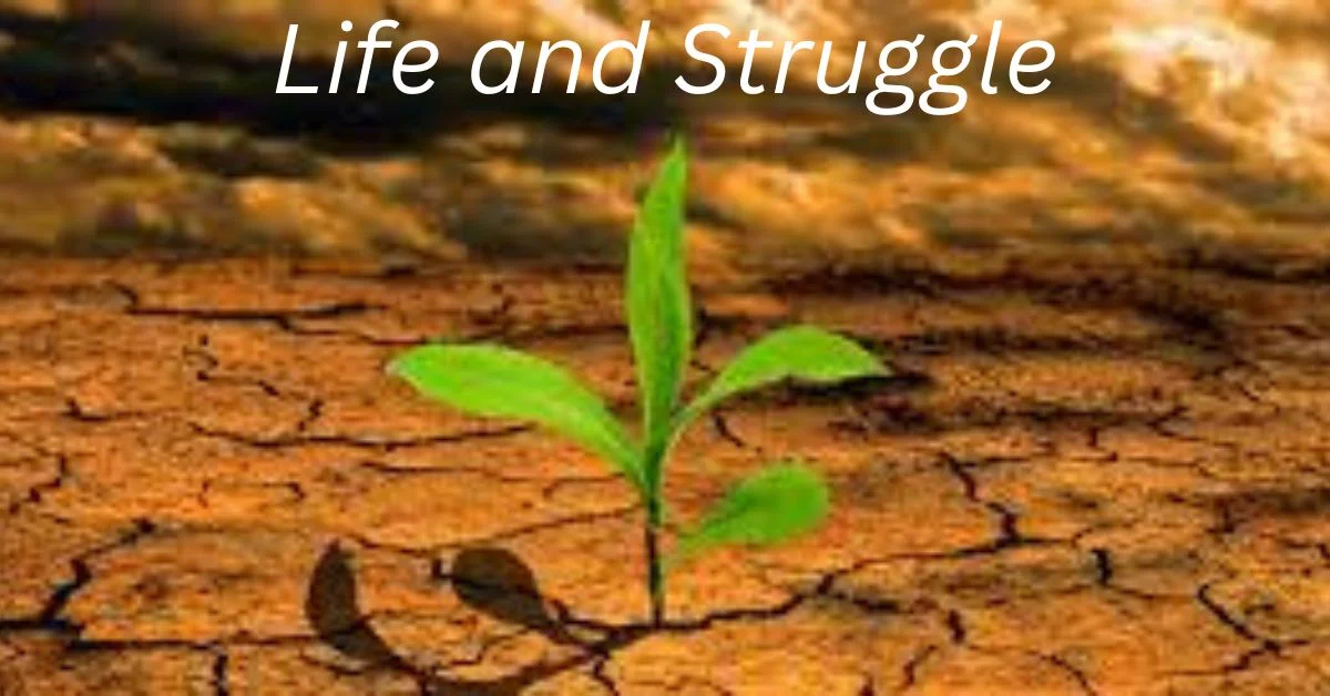 Life and Struggle