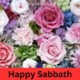 Happy Sabbath