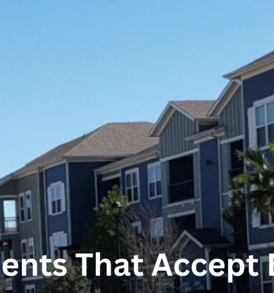 Apartments That Accept Evictions