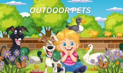 Outdoor Pets