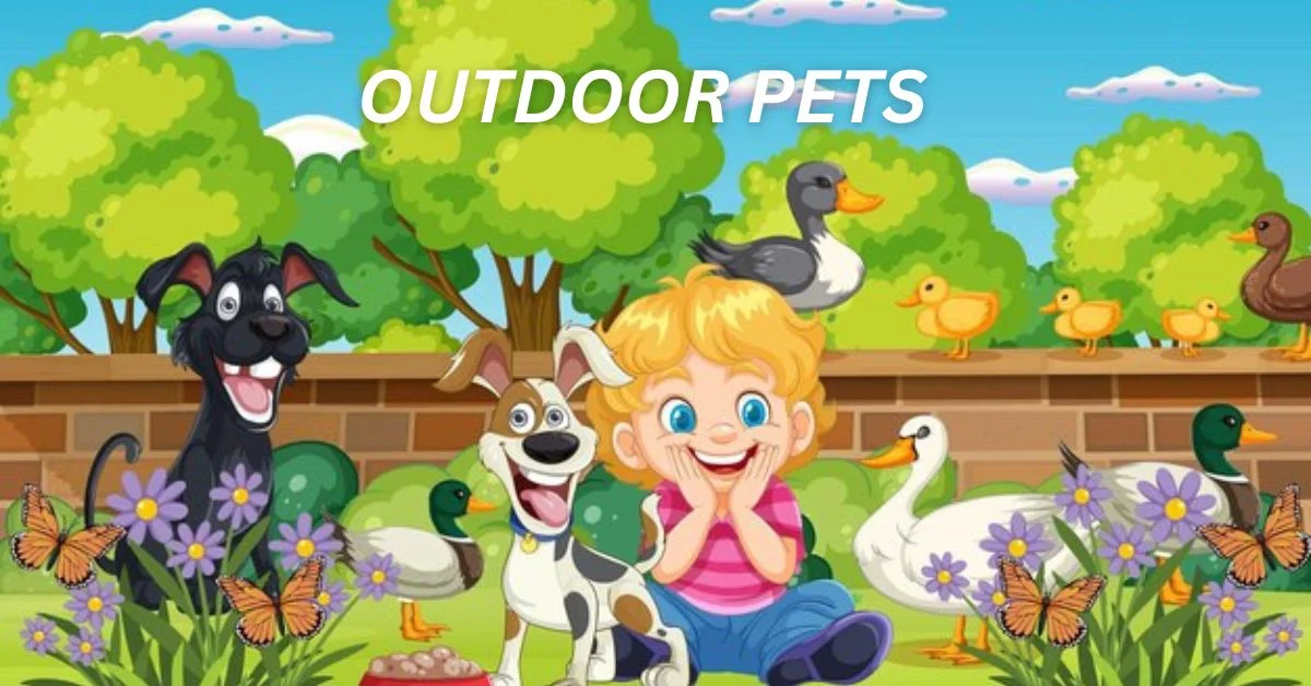 Outdoor Pets